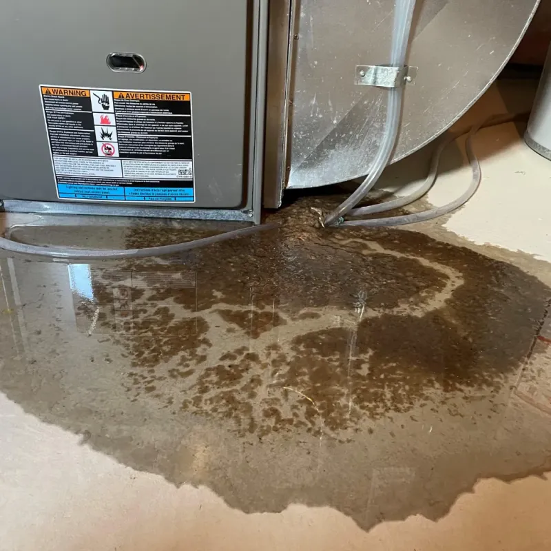 Appliance Leak Cleanup in Hanson, MA